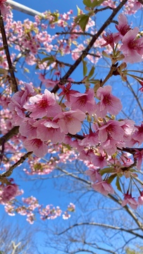 春先に、こんな症状が出ていませんか？