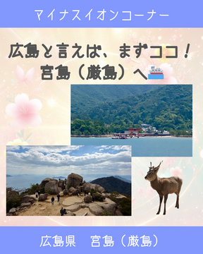 マイナスイオン測定　第一弾
～宮島（厳島）～